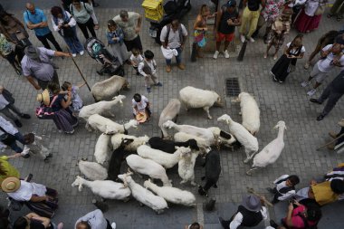 Las Palmas de Gran Canaria, İspanya - Kanarya Adası Gran Kanaryası - 30 Mayıs 2025 - Kanarya bayramının yanı sıra Kanarya geleneklerini de temsil eden Kanarya bayramını kutlamak için Paseo de las Canteras yürüyüşü