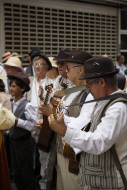 Las Palmas de Gran Canaria, İspanya - Kanarya Adası Gran Kanaryası - 30 Mayıs 2025 - Kanarya bayramının yanı sıra Kanarya geleneklerini de temsil eden Kanarya bayramını kutlamak için Paseo de las Canteras yürüyüşü