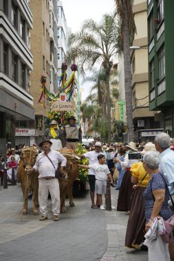 Las Palmas de Gran Canaria, İspanya - Kanarya Adası Gran Kanaryası - 30 Mayıs 2025 - Kanarya bayramının yanı sıra Kanarya geleneklerini de temsil eden Kanarya bayramını kutlamak için Paseo de las Canteras yürüyüşü