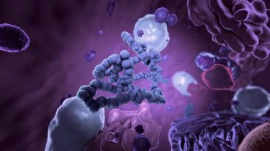 Eukaryote, ribozomlara odaklan - 3 boyutlu illüstrasyon