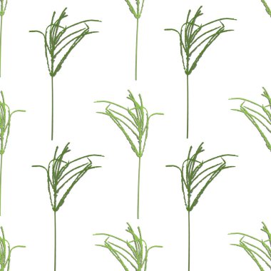 Açık yeşil ve koyu yeşil çimen ve kuş, pürüzsüz desen, parmak izi arka plan, pürüzsüz desen, parmak izi arkaplan, desen döşeme