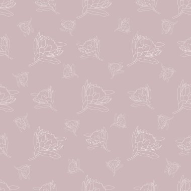 Protea Love sana doyabilir miyiz, sen özelsin ve birçok Güney Afrikalı tarafından seviliyorsun. 