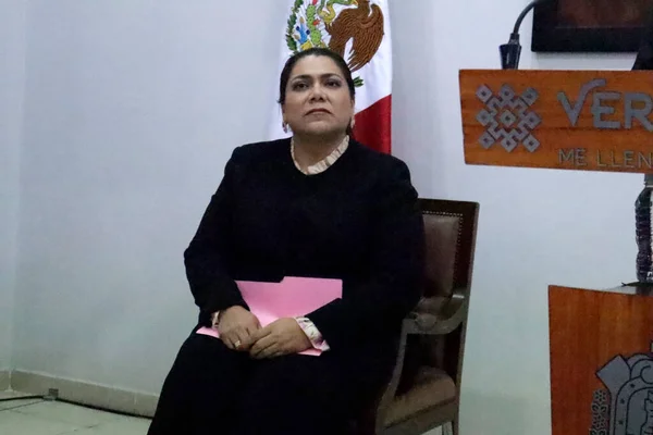 Srpna 2023 Mexico City Mexiko Předseda Soudu Státu Veracruz Lisbeth — Stock fotografie