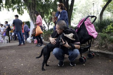 22 Temmuz 2023, Mexico City, Mexico: Köpekler, Mexico City 'deki Geyik Parkı' nda Dünya Köpek Festivali için Can Fest 'e sahipleriyle birlikte gitti. 22 Temmuz 2023 'te Mexico City, Meksika