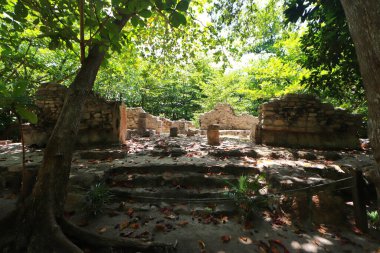 23 Mayıs 2023, Cancun, Meksika: San Miguelito Arkeolojik Bölgesi, kaşiflerin etkileyici Chaac Sarayı 'nı, 50' ye yakın defni ve hem yerli hem de yabancı pek çok eser buldukları sekiz asırlık bir alan.