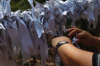 24 Mayıs 2023 'te Cancun, Meksika' da ve dünyada türünün tek örneği olan Cancun Ormanı 'ndaki mabede Mary Undo of Knots' a şükranlarımızı sunuyoruz.