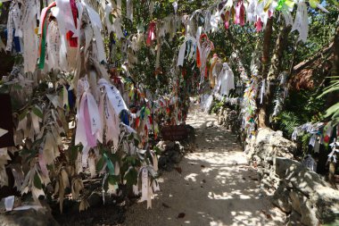 24 Mayıs 2023 'te Meksika, Cancun' da bulunan Cancun Ormanı 'ndaki türünün tek örneği olan kutsal tapınaktaki istekleri ve mucizeleri için sadık Marry Undo of Knots' a bırakılan kurdelelerin genel görünümü.