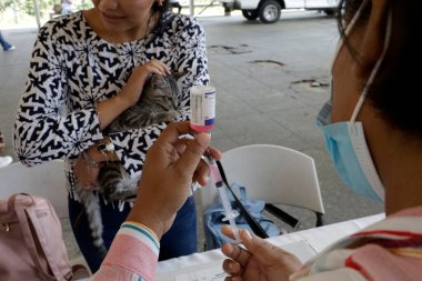 27 Haziran 2023 'te Mexico City, Meksika' da Kuduz aşısı kampanyası sırasında Iztapalapa Belediye Binası 'ndaki bir aşının aşısı için köpekleriyle birlikte çalışmalar başladı.