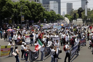 13 Temmuz 2023, Mexico City, Meksika: Dövüş horozu, boğa güreşi ve avcılık endüstrisindeki işçiler ve işadamları Mexico City hükümetinin ve Meksika hükümetinin şirketlerini sona erdiren yasaları desteklememesini talep ediyor.
