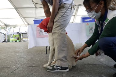 27 Haziran 2023 'te Mexico City, Meksika' da Kuduz aşısı kampanyası sırasında Iztapalapa Belediye Binası 'ndaki bir aşı merkezinde aşılamak için köpekleriyle bir araya gelen insanlar görülüyor. 27 Haziran 2023 'te Mexico City, Meksika