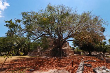 25 Mayıs 2023, Cancun, Quintana Roo: El Meco Arkeolojik Bölgesi, Meksika 'nın güneydoğusunda yer alan Kolombiya öncesi Maya kültürünün arkeolojik alanı.