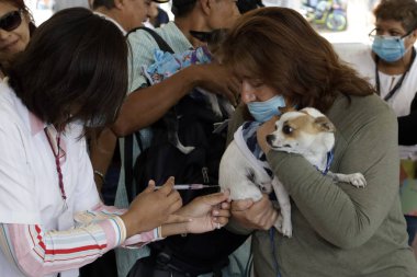 27 Haziran 2023 'te Mexico City, Meksika' da Kuduz aşısı kampanyası sırasında Iztapalapa Belediye Binası 'ndaki bir aşı merkezinde aşılamak için köpekleriyle bir araya gelen insanlar görülüyor. 27 Haziran 2023 'te Mexico City, Meksika