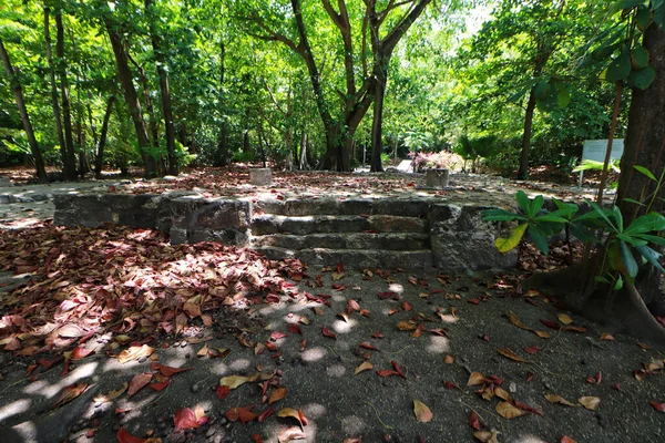 Maj 2023 Cancun Mexiko San Miguelito Arkeologiska Zon Åtta Århundraden — Stockfoto