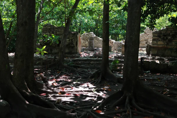 Maja 2023 Cancun Meksyk Strefa Archeologiczna San Miguelito Miejsce Sprzed — Zdjęcie stockowe
