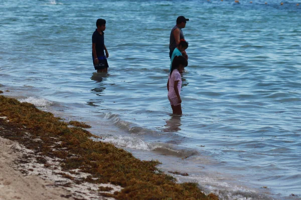 2023年5月25日 墨西哥坎昆 墨西哥加勒比地区的海滩继续存在污染问题 原因是沙加瑟姆已经众所周知地侵入了坎昆海滩 这是一个环境问题 — 图库照片