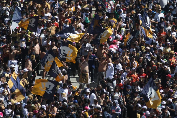 Februar 2023 Mexiko Stadt Mexiko Pumas Fans Feiern Das Tor — Stockfoto