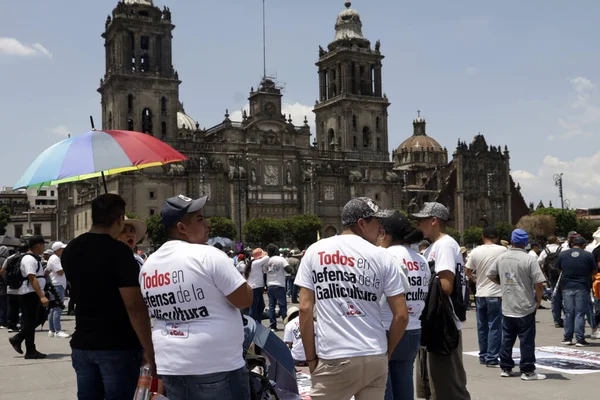 Juli 2023 Mexico City Mexiko Arbetstagare Och Affärsmän Kampen Kuk — Stockfoto