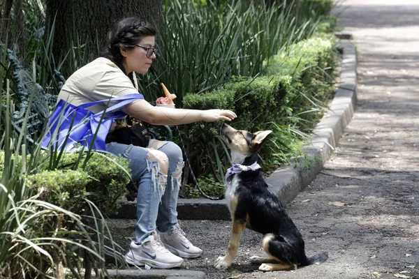 2023年7月22日 墨西哥城 在墨西哥城鹿园举行的 世界犬节狂欢节 Can Fest World Dog Day 狗在主人的陪伴下出现 — 图库照片