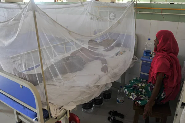 2023年7月26日 シレット バングラデシュ 母親がデング熱に感染した息子のそばに座り シェット マグマニア医科大学病院 バングラデシュのシレット病院のデング熱の角に座っている 20人以上の患者がデングーコーナーに入院している 2023年7月26日に — ストック写真