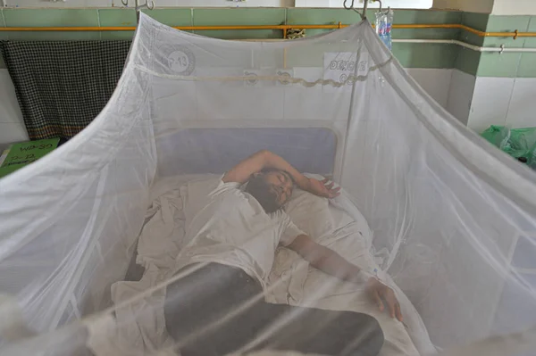 Luglio 2023 Sylhet Bangladesh Dengue Infetta Pazienti Sotto Zanzariere Vengono — Foto Stock