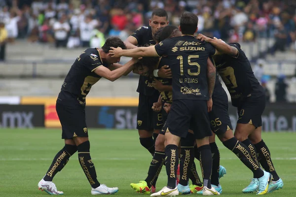 Jogador De Futebol Mexico No Estádio Imagem de Stock - Imagem de