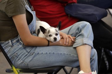 27 Haziran 2023 'te Mexico City, Meksika' da Kuduz aşısı kampanyası sırasında Iztapalapa Belediye Binası 'ndaki bir aşı merkezinde aşılamak için köpekleriyle bir araya gelen insanlar görülüyor. 27 Haziran 2023 'te Mexico City, Meksika