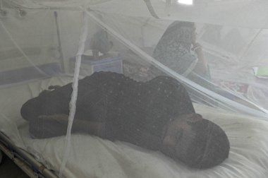 11 Temmuz 2023 Sylhet-Bangladeş: Sylhet MAG Osmani Tıp Fakültesi Hastanesi 'nin Dang Köşesi' nde Dang tedavisi gören insanlar görülüyor. Bu Dang köşesinde 6 'dan fazla hasta tedavi altında.