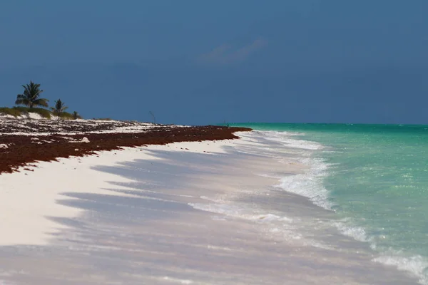 Mayo 2023 Cancún México Las Playas Del Caribe Mexicano Continúan —  Fotos de Stock