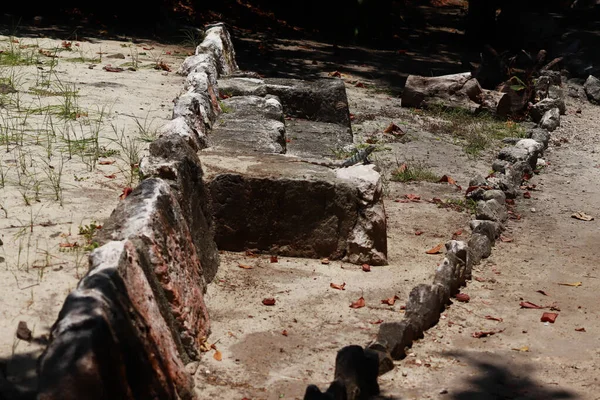 メキシコのカンクンで2023年5月23日 サンミゲリト考古学ゾーン 8世紀の古い遺跡 探検家は その印象的なチャアック宮殿 ほぼ50の埋葬物と 地元と外国の両方で多種多様なアーティファクトを発見しました カイディアン クォーツ セルツから — ストック写真