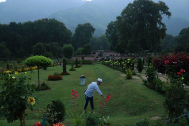 23 Ağustos 2023, Srinagar Kashmir, Hindistan: Nishat Garden 'da sabahın erken saatlerinde spor yapan bir adam. 23 Ağustos 2023 'te Hindistan' ın Srinagar Kashmir kentinde