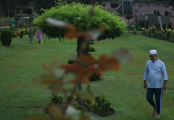 23 августа 2023 года, Шринагар Кашмир, Индия: Ранним утром в Шринагаре в саду Нишат бегают люди. 23 августа 2023 года в Шринагаре, Индия. (Фото Firdous Nazir / Eyepix Group)