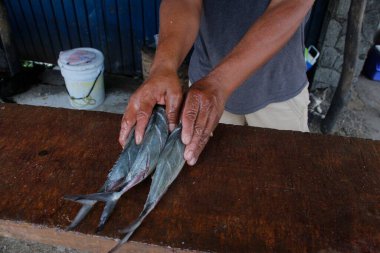 ACAPULCO, MEXICO - 25 AĞUSTOS: Guerrero eyaletindeki Jardines Mangos kasabasından balıkçılar, balıkların temizlenmesi sırasında müşterilere sunulmak üzere