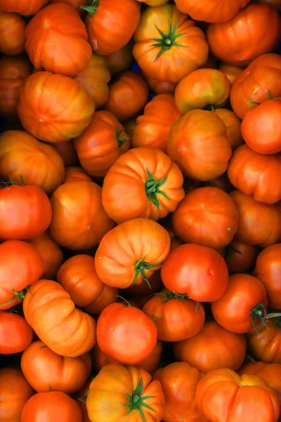 Julio 2022 Doha Qatar Los Tomates Recién Cosechados Apilan Durante — Foto de Stock