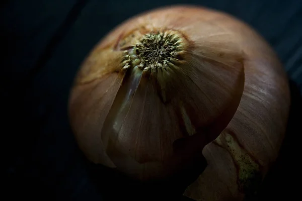 Detail Onion Dry Peel — Stock Photo, Image