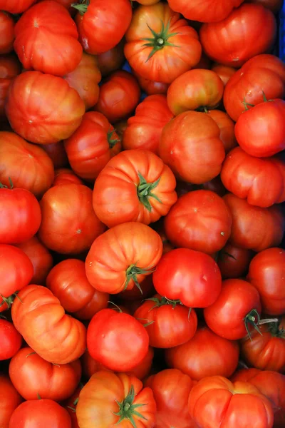 Juli 2022 Doha Katar Frisch Geerntete Tomaten Stapeln Sich Während — Stockfoto