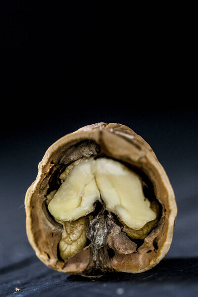 Detail of a walnut inside its shell cut in half
