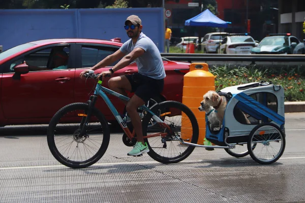 September 2023 Mexico City Mexico People Take Part Sunday Bike — Stock Photo, Image