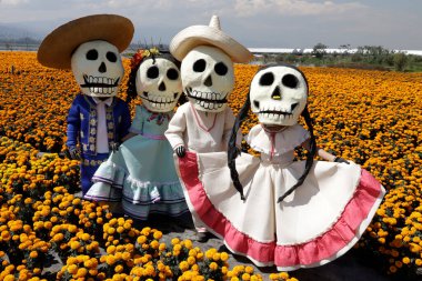19 Ekim 2023, Mexico City, Mexico: Meksika 'da San Gregorio Atlapulco' da San Gregorio 'daki Xochimilco belediye başkanlığı ofisinde Ölüm Günü çerçevesinde insanlar cempasuchil çiçeği tarlalarında ölümle karakterize edildi.