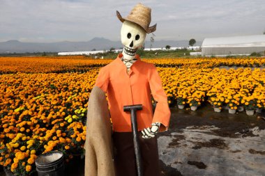 19 Ekim 2023 'te Mexico City, Meksika' da San Gregorio Atlapulco 'daki Xochimilco Belediye Başkanı' nın Mexico City 'deki ofisinde Ölüler Günü kutlamaları çerçevesinde cempasuchil çiçeği tarlalarına ölüm figürleri yerleştirildi.