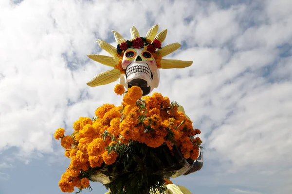 2023年10月19日 メキシコ メキシコシティ メキシコシティのシチミルコ市長のオフィスにあるサン グレゴリオ アトラプルコの死者の祭りの枠内でケンパシル花のフィールドに設置された死の図 — ストック写真