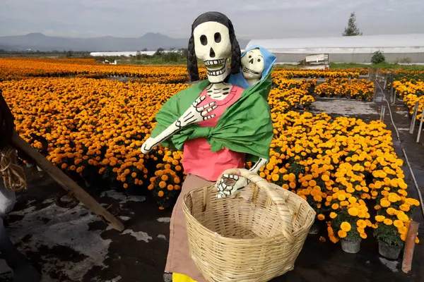Oktober 2023 Mexiko Stadt Mexiko Todesfiguren Auf Den Feldern Der — Stockfoto