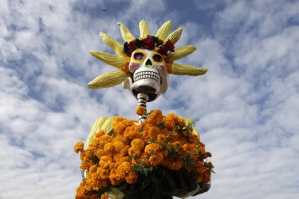 2023年10月19日 メキシコ メキシコシティ メキシコシティのシチミルコ市長のオフィスにあるサン グレゴリオ アトラプルコの死者の祭りの枠内でケンパシル花のフィールドに設置された死の図 — ストック写真