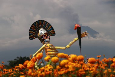 20 Ekim 2023, Atlixco, Meksika: Puebla 'daki hasat sırasında Cempasuchil çiçek tarlasını kartondan yapılmış heybetli bir kafatası süsleyerek, onları yerel pazarlarda dağıtmak için.