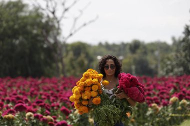 October 20, 2023, State of Puebla, Mexico: A woman buys the cempasuchil flower in one of the fields in the municipality of Atlixco in the state of Puebla clipart
