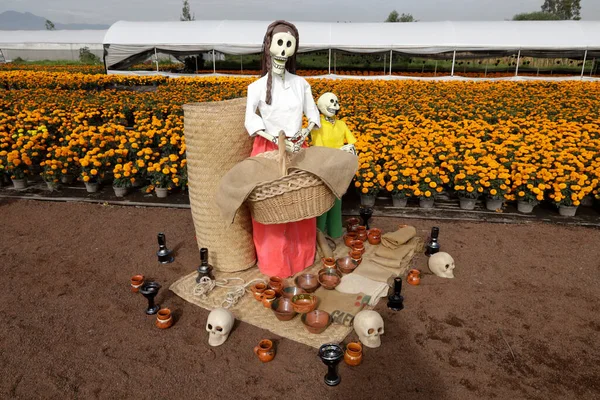 October 2023 Mexico City Mexico Figures Death Installed Fields Cempasuchil — Stock Photo, Image