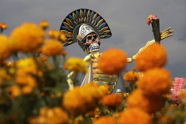 2023年10月20日 メキシコのプエブラ州 プエブラの州のアトリクスコの自治体のさまざまなキャラクターが飾るフィールドや場所のさまざまな表現を持つ記念カトリナス — ストック写真