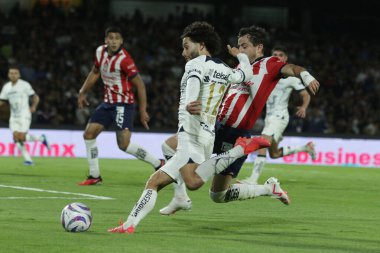 11 Kasım 2023, Mexico City, Meksika: MX Ligi 'nin 2023 Apertura Turnuvası' nda Chivas de Guadalajara maçında Chivas 'lı Alan Mozo' ya karşı mücadele eden Puma Çarı Huerta (L)