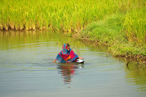 November 2023 Sylhet Bangladesh Rural Girl Catching Fish Net Cannel — Stock Photo, Image
