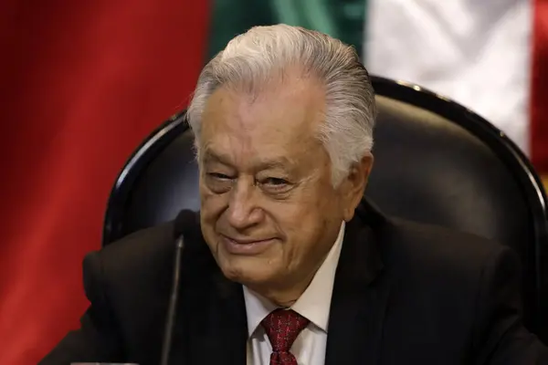 November 2023 Mexico City Mexiko Direktören För Federal Electricity Commission — Stockfoto