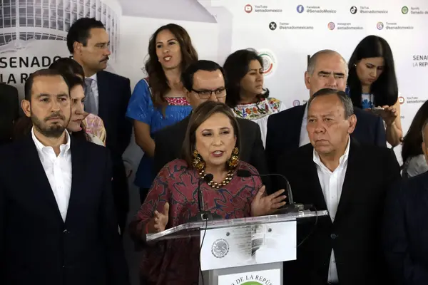 Kasım 2023 Mexico City Meksika Geniş Cephe Nin Senatörü Sanal — Stok fotoğraf